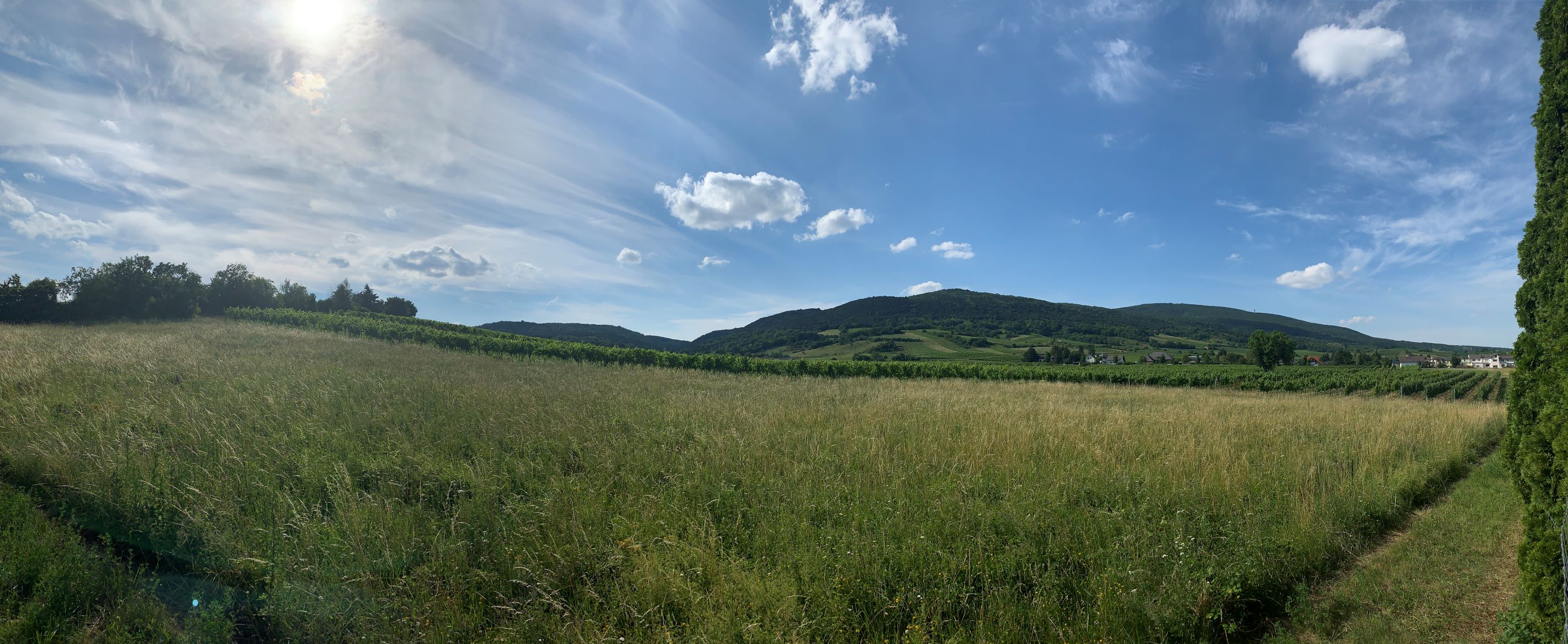 Unsplashed background img 1